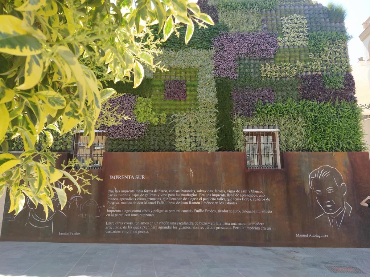 Acogedor Y Moderno Estudio En Capuchinos Màlaga Exteriér fotografie